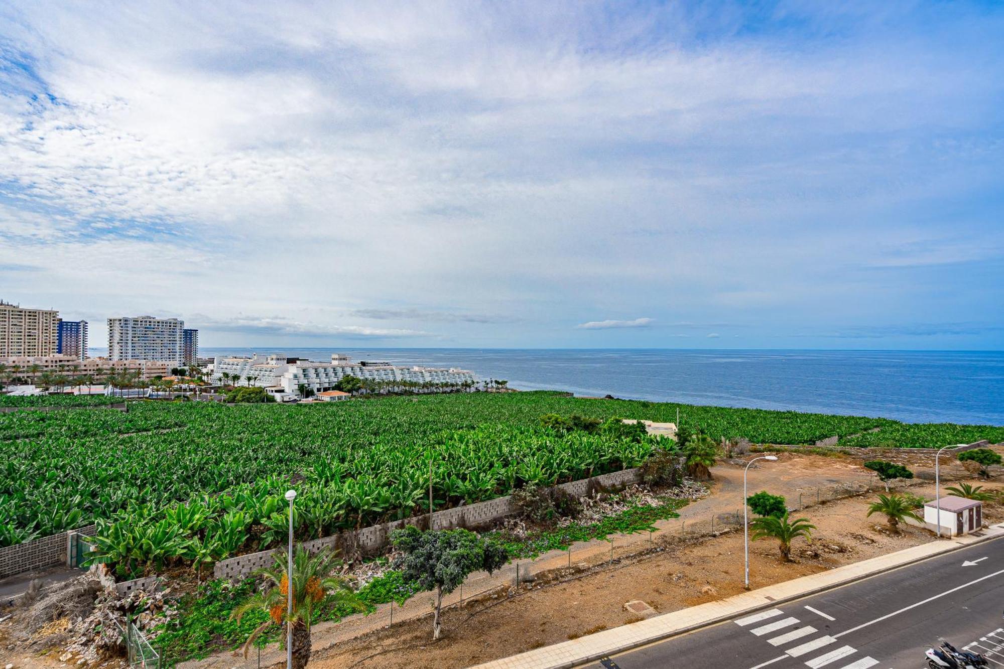 칼라오살바헤 Tropical Views By Sunkeyrents 아파트 외부 사진